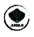 Jungle Gym McLean logo